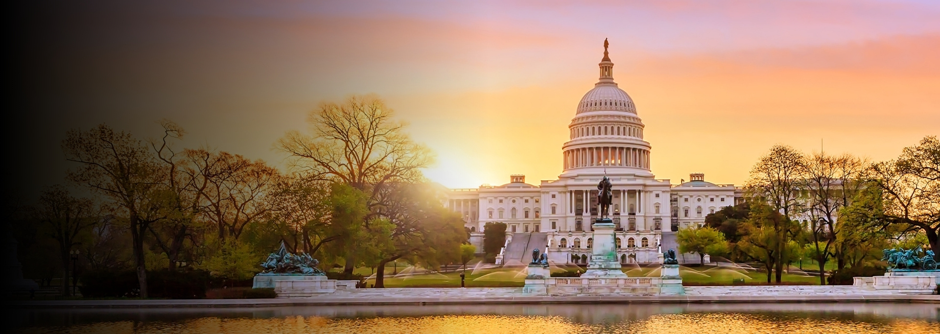 Public Services Technology Solutions