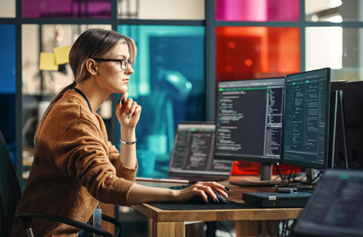Enterprise Software Development