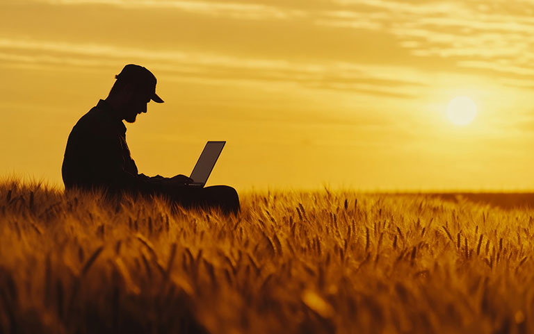 Farmer Registration System Data
