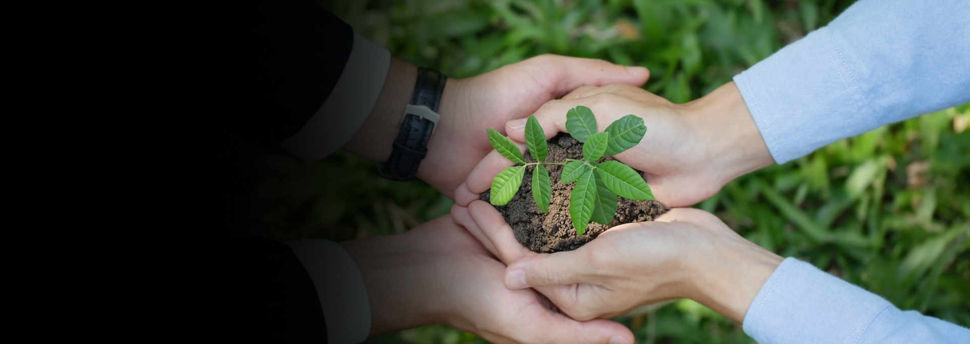 Plan, Manage, and Monitor CSR Activities with Ease