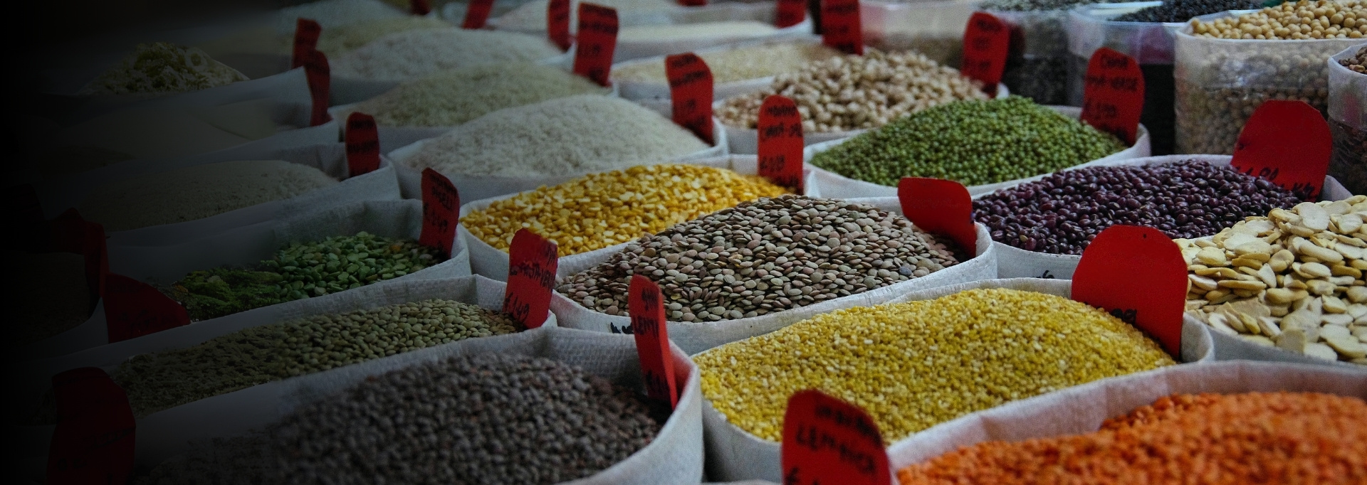 Streamlining Agri Procurement with Automation and Advanced Analytics