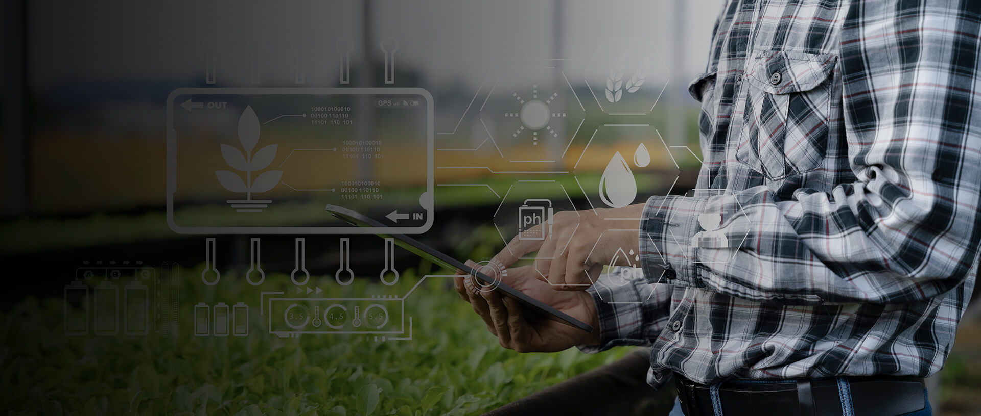 Streamlining Agri Procurement with Automation and Advanced Analytics