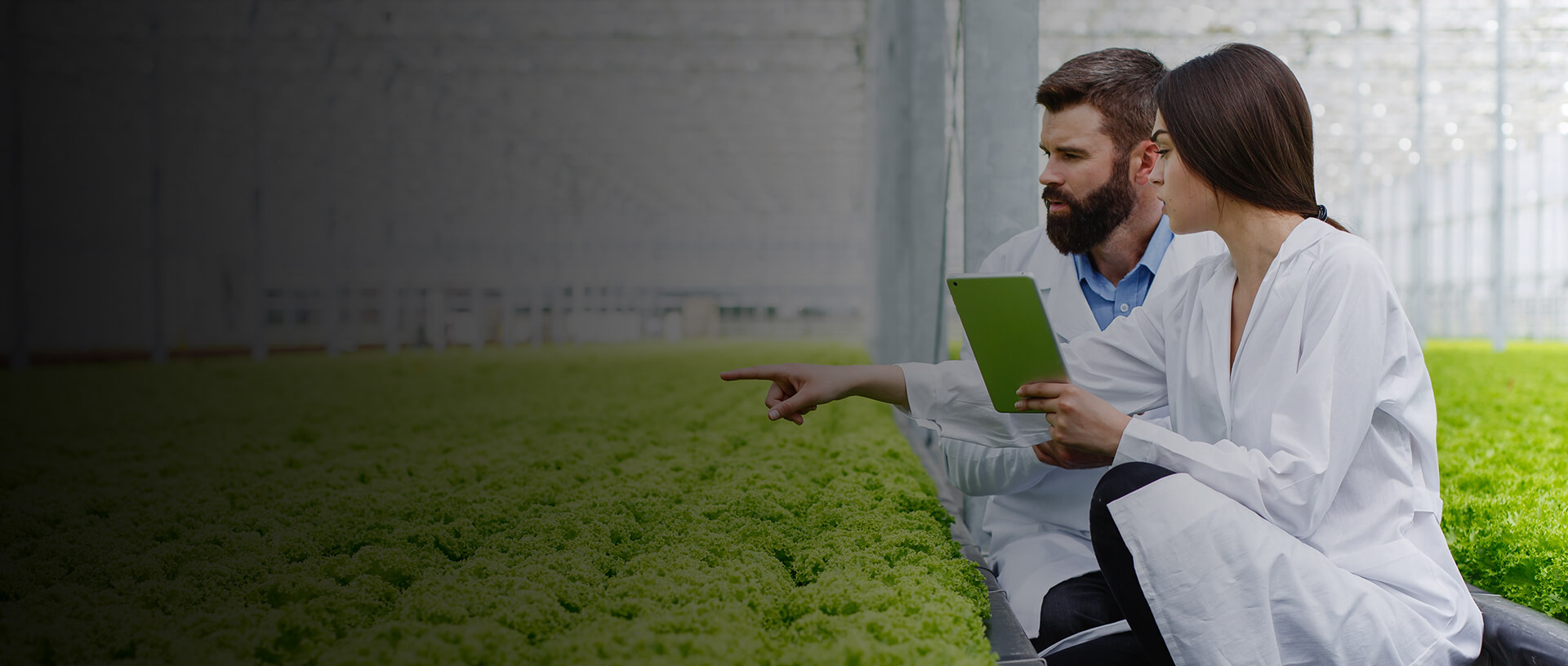 Unlocking Data-Driven Insights for Smarter Agriculture