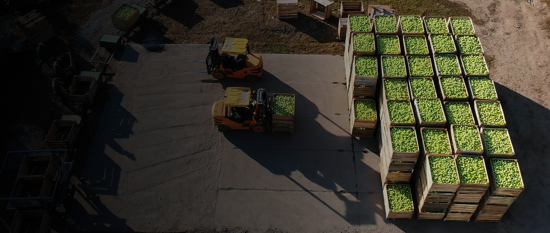 Transforming Supply Chain Operations with Intelligent Automation
