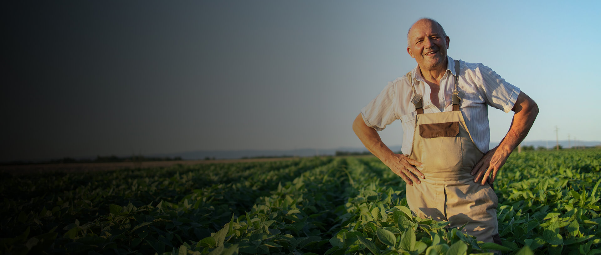 Empowering Data-Driven Agricultural Supply Chains