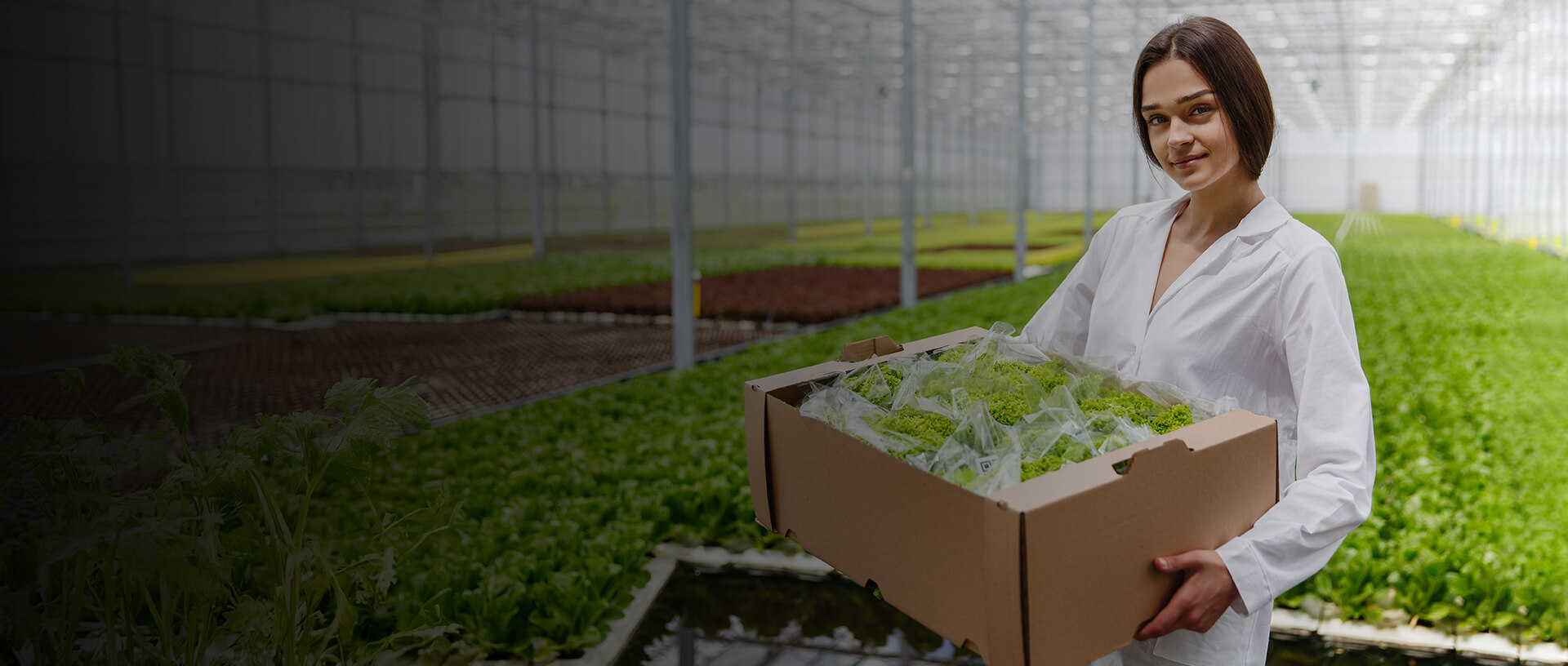 One-Stop Digital Platform for Agricultural Market and Farmer Registration