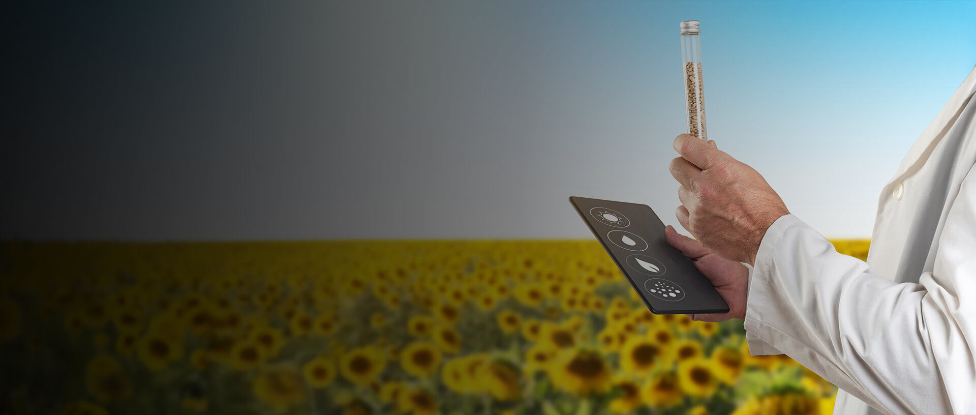 Ensuring Transparency and Quality in Seed Certification