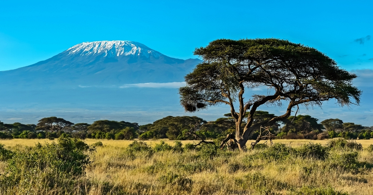 Tourism Digital Solutions for Destinations | Africa