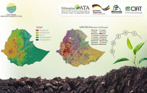 National Soil Information System