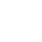 Immutable Employment Records