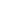 Version Control and Audit Trail