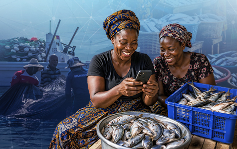 Digital Solutions in the Fish Value Chain