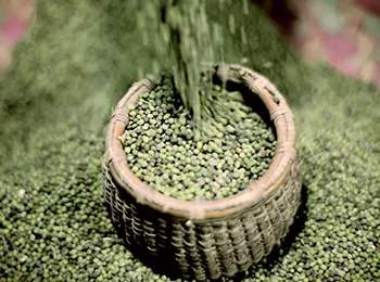 Agri Procurement Automation System