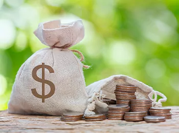 Grant Management System
