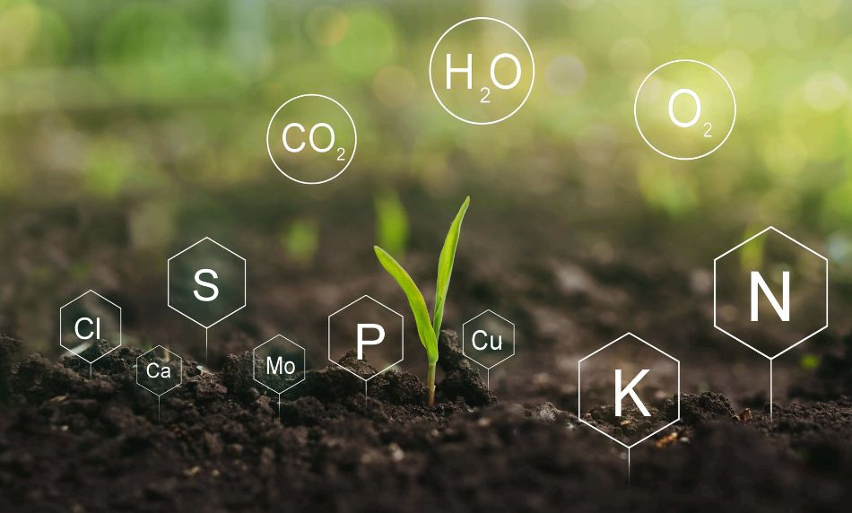 National Soil Information System