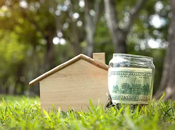 Property and Holding Tax System