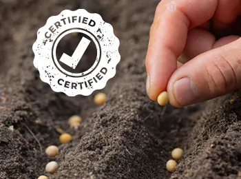 Seed Certification System