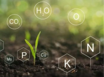 Soil Information System