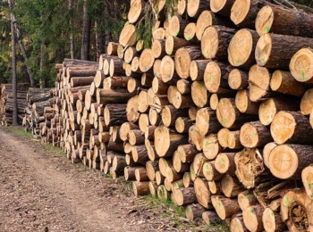 Timber Traceability Solution