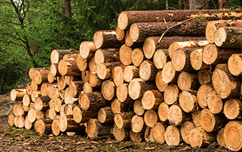 Timber Traceability System