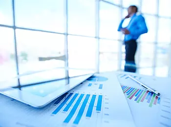 Trade License System
