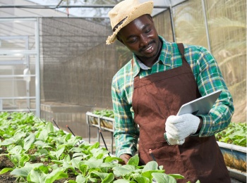 Unified Farmer Credit Portal