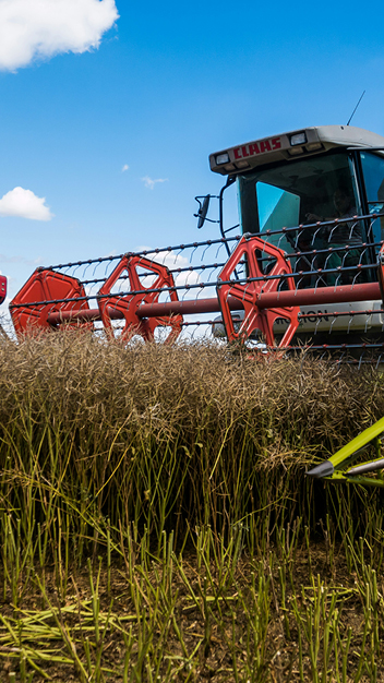Agriculture and Allied Services
