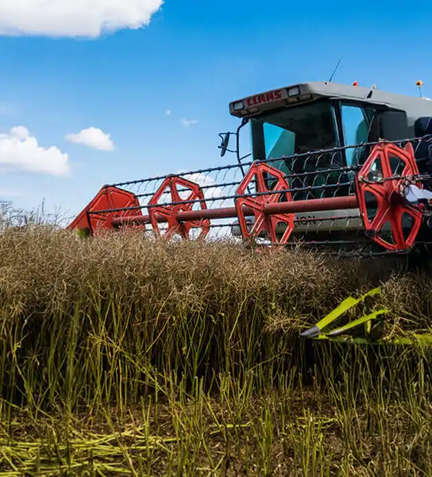 Agriculture and Allied Services