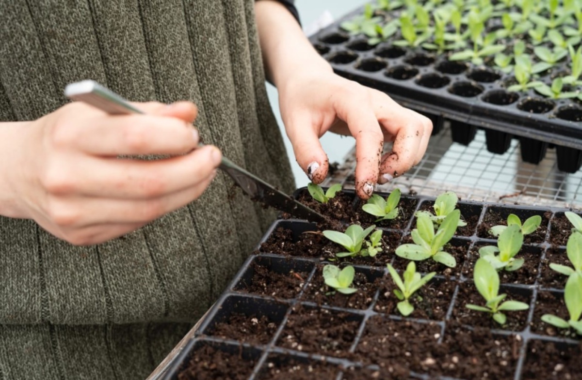 Efficient Soil Mapping