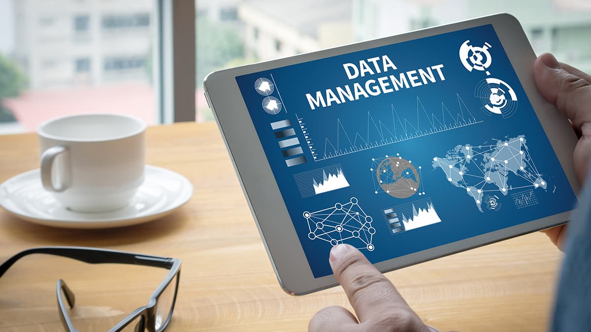 Leveraging the Synergistic Power of Data Analytics and Data Management