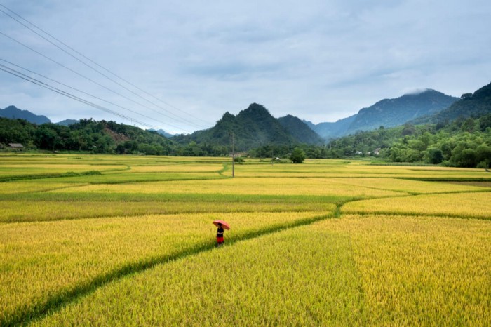 Farmer Registration System