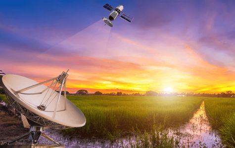CropOne - Case Study on Crop Analytics - CSM Technologies