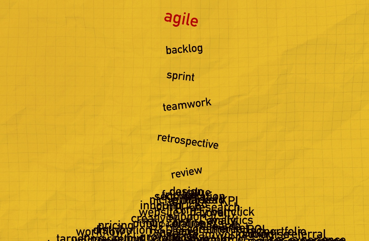 Agile in eGovernance