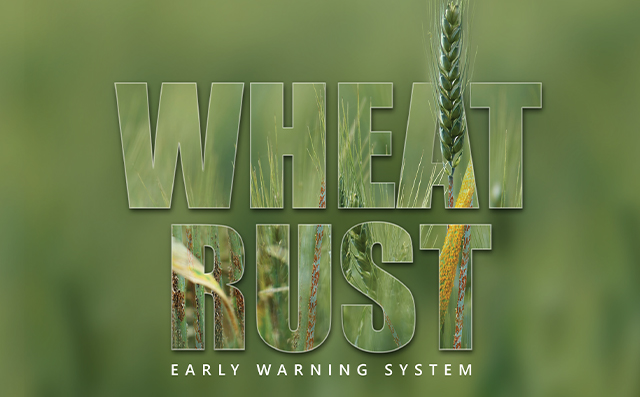 Wheat Rust Early Warning System - CSM Technologies